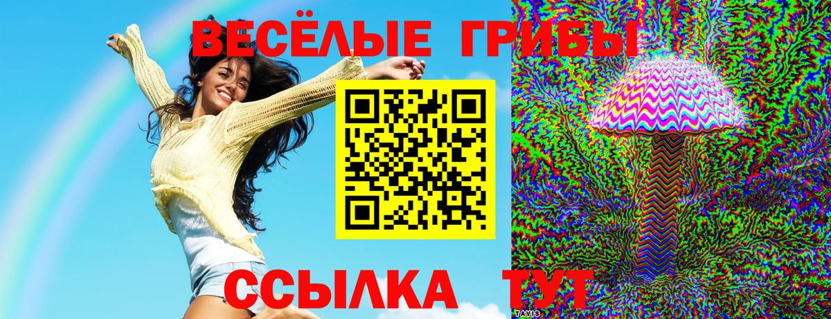 Чебоксары  Галлюциногенные грибы мухоморы  Вход с VPN  Псилоцибиновые грибы ЛСД 