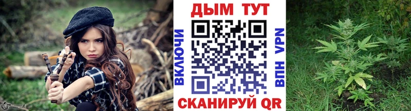 omg зеркало  Чебоксары  Конопля ГИДРОПОН  купить наркоту 